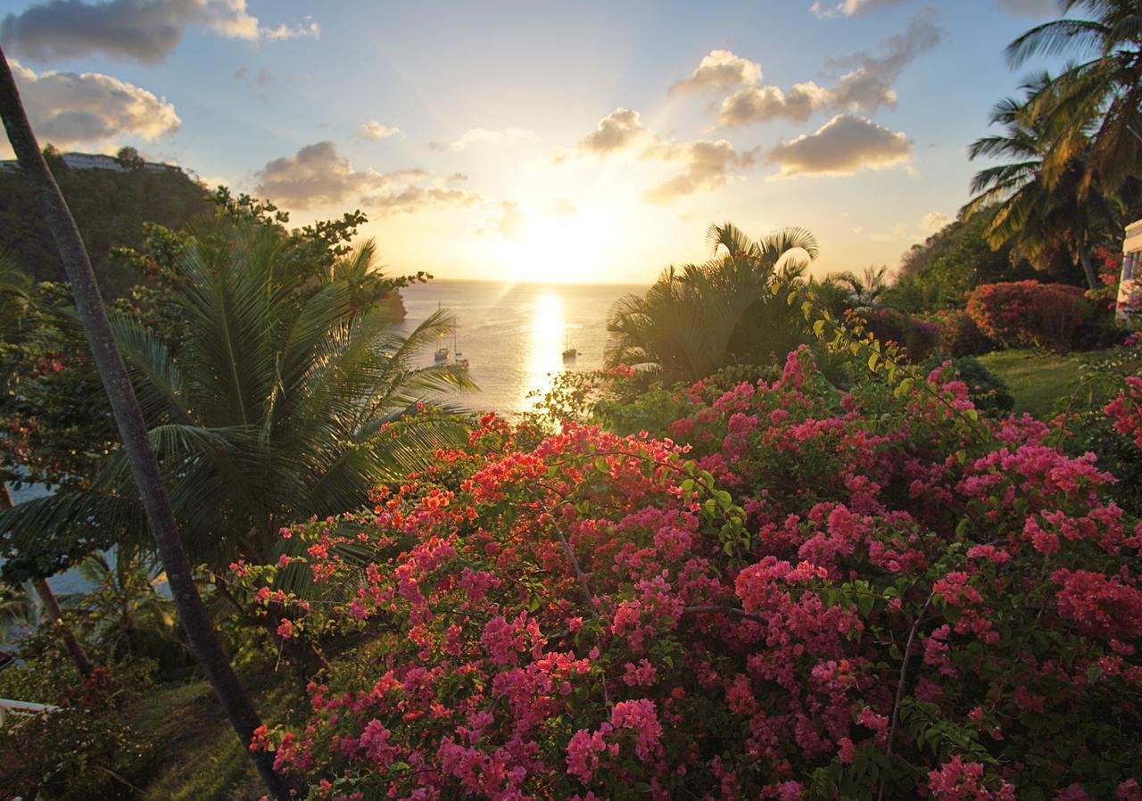 Marigot Beach Club & Dive Resort Exteriér fotografie